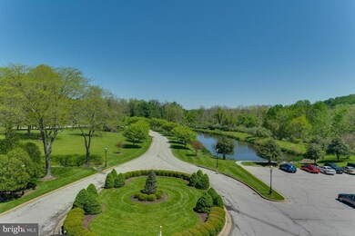 2331 Old Court Rd unit 413, Pikesville, MD 21208 - photo 3