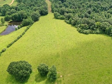 1092 Matthews Rd, Tylertown, MS 39667 - photo 4