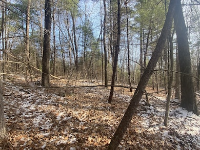 121 Sturbridge Rd, Brimfield, MA 01010 - photo 3