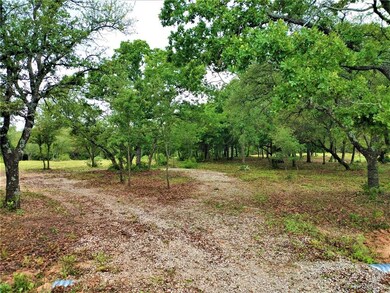 8675 Hutcheson Hill Rd, Springtown, TX 76082 - photo 4