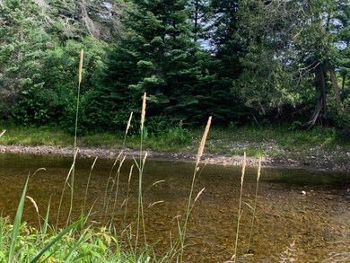 00 Burke Hollow Rd unit ust, Burke, VT 05871 - photo 4