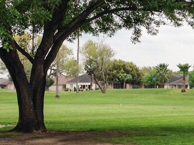 229 Karen Dr, Alamo, TX 78516 - photo 3