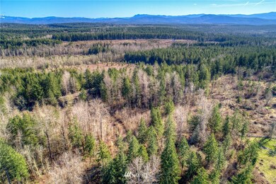 unlisted-address, Roy, WA 98580 - photo 7