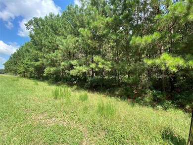 24340 Oak Hollow Blvd, Hockley, TX 77447 - photo 5