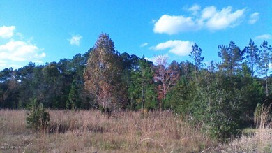 4081 Clifford Ln, Middleburg, FL 32068 - photo 3