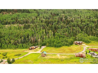 49 Meadow Rd E, Durango, CO 81301 - photo 6