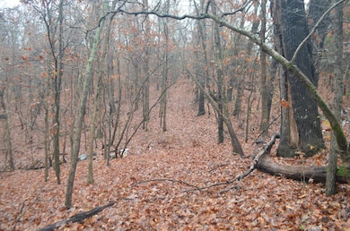 000 Logan Ridge Rd, Ozark, MO 65721 - photo 7