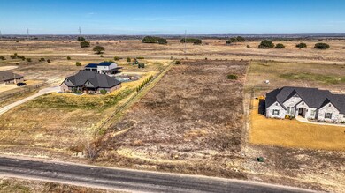 Lot 174 Eagles Ridge Dr, Brock, TX 76087 - photo 5