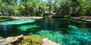 Juniper Springs