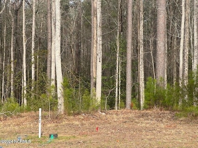 1007 Parchment Bluff
