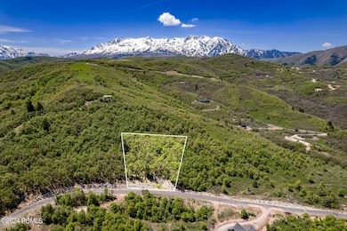 002_22-6567echaparralroad22_lotline_625