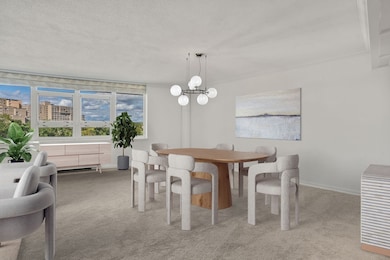 Imperial Towers unit 905, Chestnut Hill, MA 02467 - photo 5