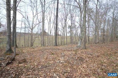 0 Twymans Mill Rd unit 599973, Madison, VA 22719 - photo 7