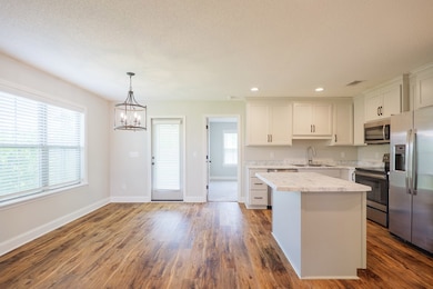 508 Beaver Street Extention, Ray City, GA 31645 - photo 6