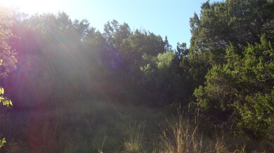 View of tree filled area
