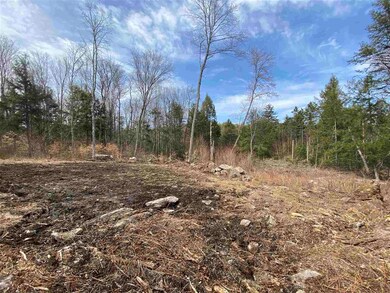 0 Cold River Rd unit M248 L 13-1, Acworth, NH 03601 - photo 4