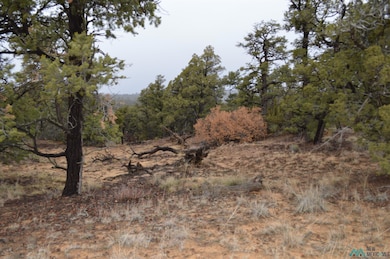 Lot 221 Delph Ct, Candy Kitchen, NM 87321 - photo 7
