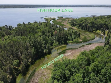 ABC Falling Leaf Trail, Todd Township, MN 56470 - photo 4