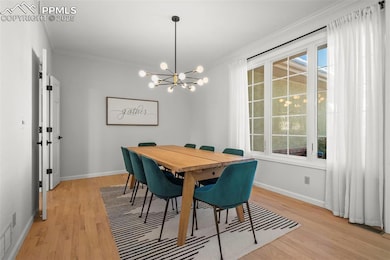 2595 Tamora Way, Colorado Springs, CO 80919 - photo 6