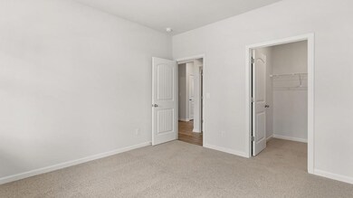 91 Cyrilla Walk, Dallas, GA 30132 - photo 6