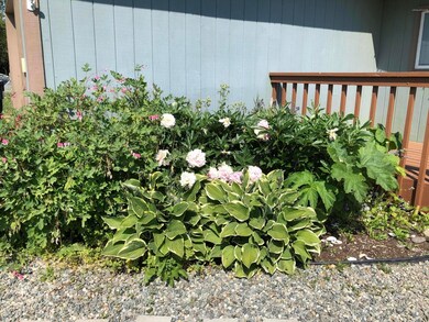 front flowers