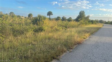 1249 Blaine Ave, Lehigh Acres, FL 33913 - photo 5