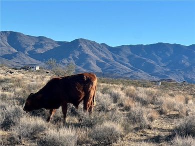 0 N Lost Mine Dr unit 34513, Chloride, AZ 86431 - photo 2