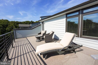 1802 Blue Marble Terrace SE, Leesburg, VA 20175 - photo 4