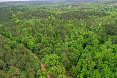 0000 Cantrell Rd, Amity, AR 71921 - photo 4