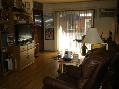 6133 W 64th Place unit 1C, Chicago, IL 60638 - photo 2