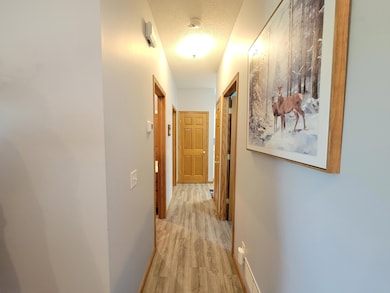 713 Danielson Ct, Maple Lake, MN 55358 - photo 6