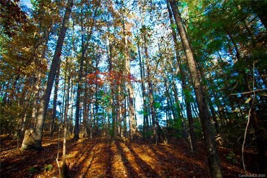 0000 Carolina Hills Dr, Hendersonville, NC 28792 - photo 3