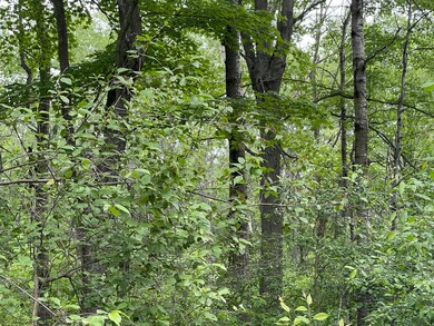 IMG_9473