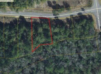 Bear Creek Lot 20 zoomed aerial map 2016