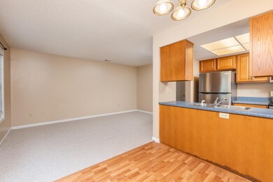 2463 Twin Gables Ct, Harrisonburg, VA 22801 - photo 5