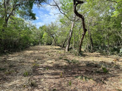 0 Cr 849, Brazoria, TX 77422 - photo 5