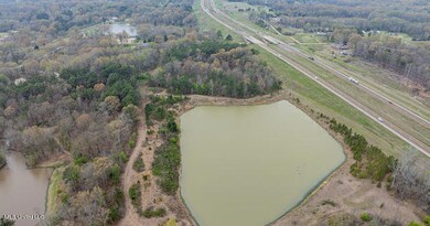 560 N Malone, Hernando, MS 38632 - photo 5