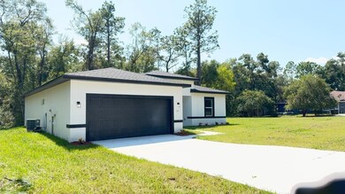 42 W Stockel Ln, Citrus Springs, FL 34434 - photo 6