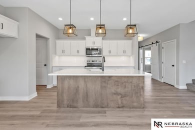 12359 Elk Ridge Cir, Papillion, NE 68046 - photo 4