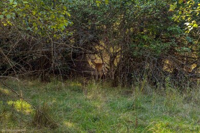 NKA S Dillon Dr, Coeur D'Alene, ID 83814 - photo 7