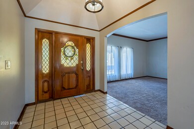 Hackamore-10