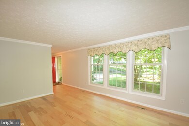 8304 Old Tree Ct, Springfield, VA 22153 - photo 3