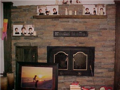 Hearth; Wood Stove Insert