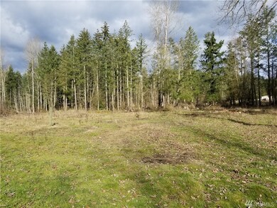 1417 394th St S, Roy, WA 98580 - photo 6