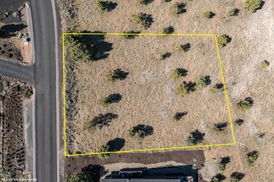2025_05_02_913_highland_view_loop_lot-22