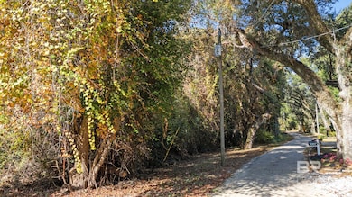 0 Wilson Ln, Fairhope, AL 36532 - photo 2