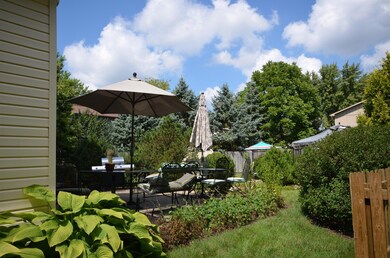 Side yard