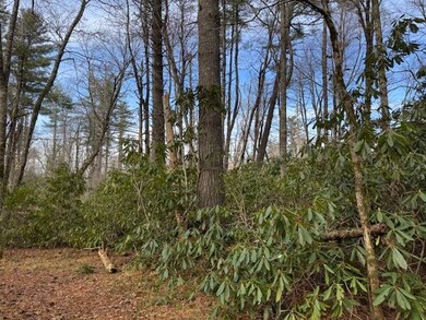 001 Joe Poore Rd, Newland, NC 28657 - photo 5