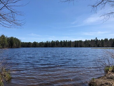 273 Harbor View Rd, Limerick, ME 04048 - photo 3