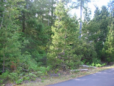 Trees All Around